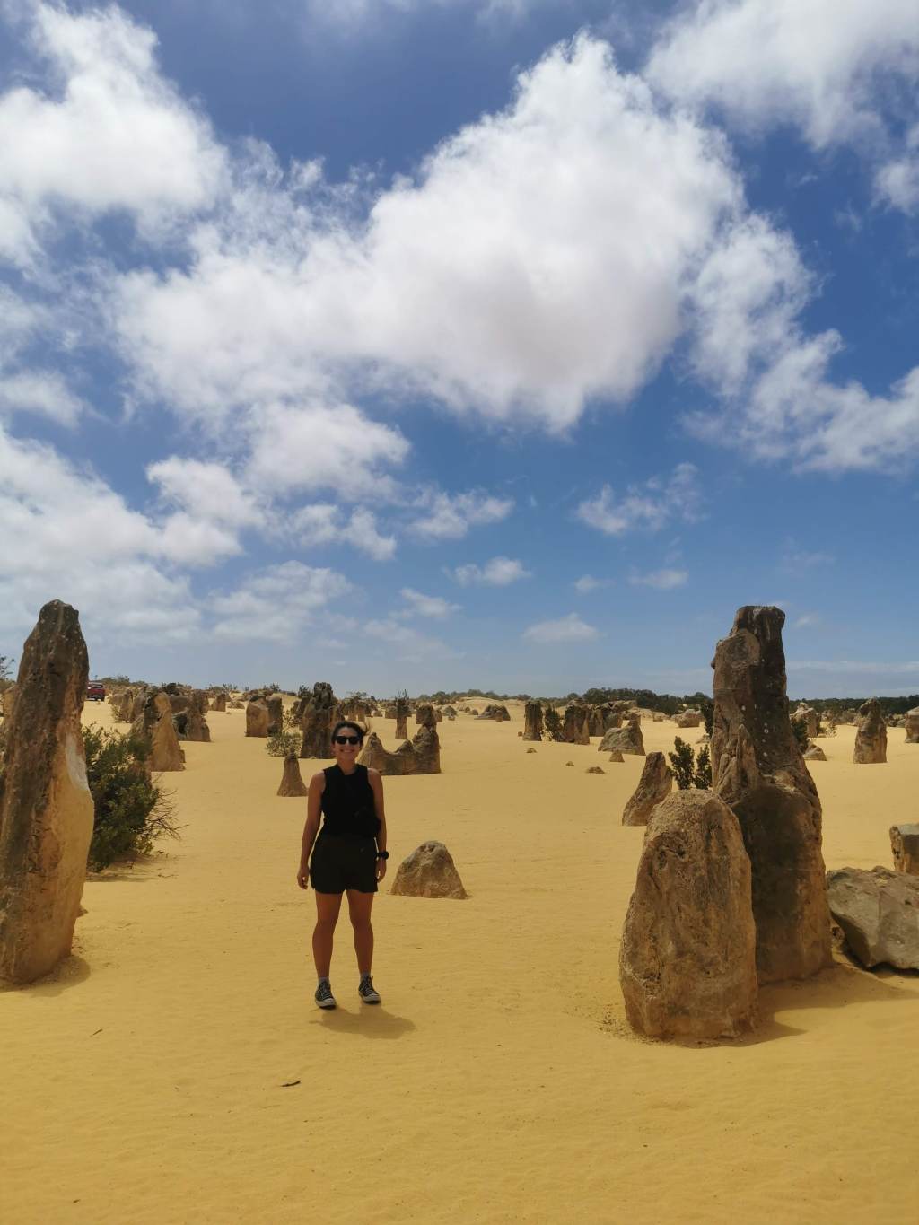A Family Adventure Down Under: Perth, Geraldton, and Rottnest Island